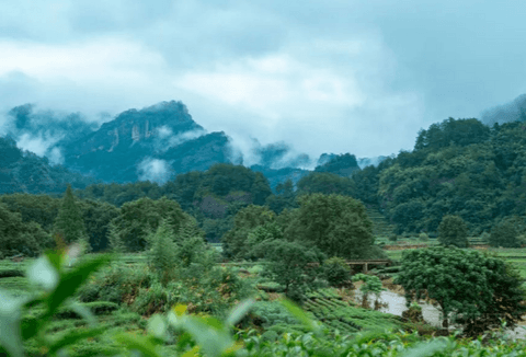 秋高气爽，一起去爬山呀