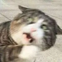 ɿ͡ɿͶõcdfʡǮ󷨣ְֽѧ