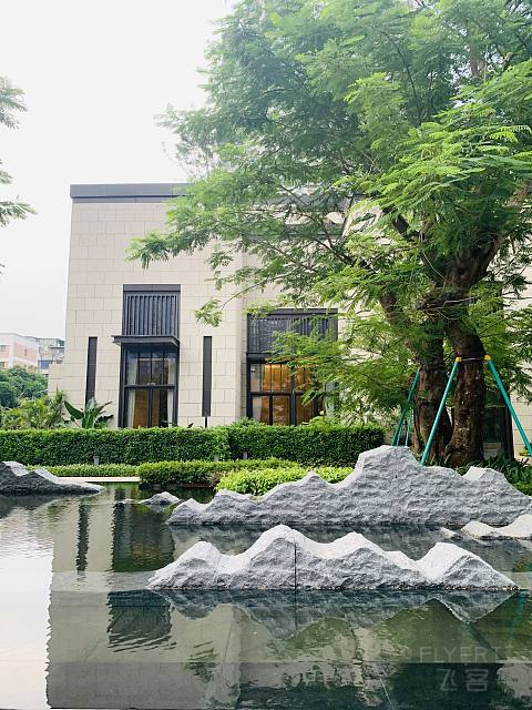 绿了芭蕉 | 厦门安达仕酒店Andaz Xiamen