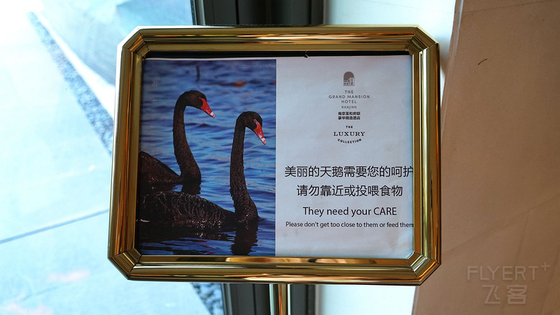 DSC05443_副本.jpg