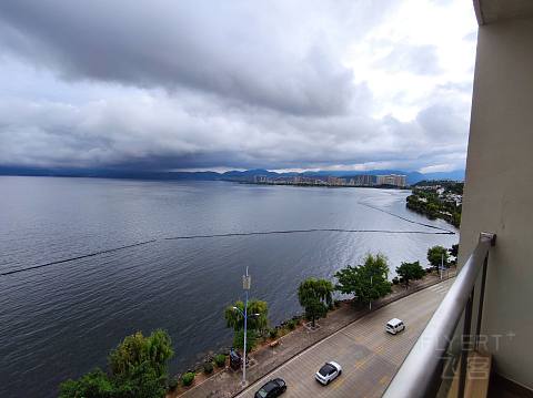 IMG_20200911_083403.jpg