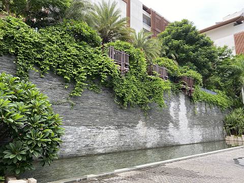 盛夏悠然，时光正好-Capella Sanya