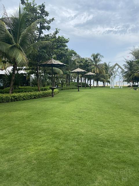盛夏悠然，时光正好-Capella Sanya