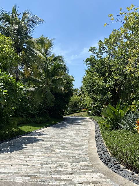 盛夏悠然，时光正好-Capella Sanya