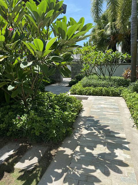 盛夏悠然，时光正好-Capella Sanya