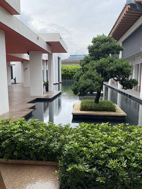 盛夏悠然，时光正好-Capella Sanya