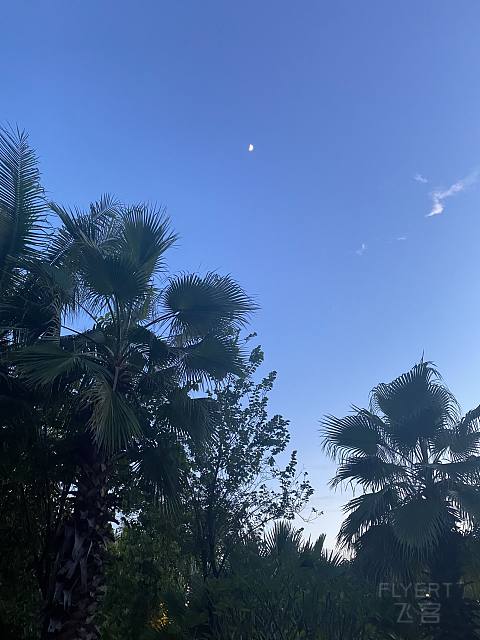 盛夏悠然，时光正好-Capella Sanya