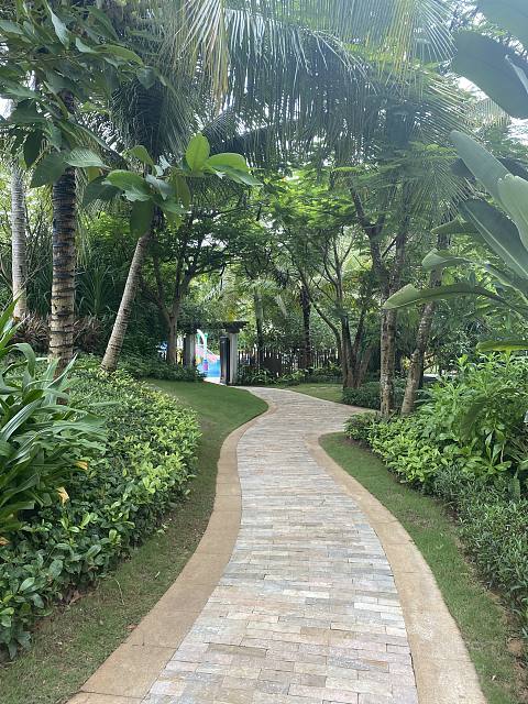 盛夏悠然，时光正好-Capella Sanya
