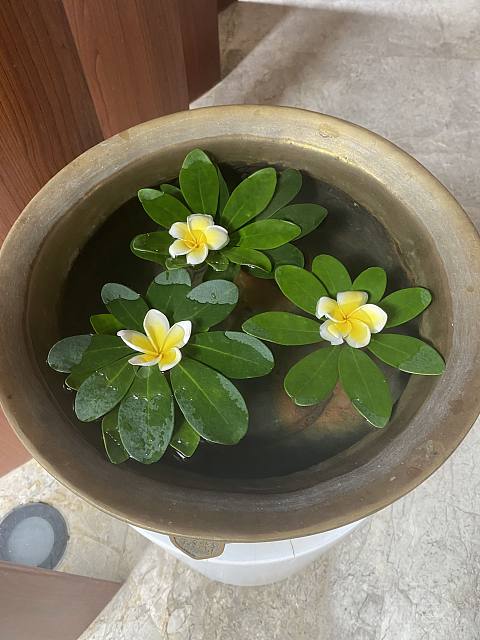 盛夏悠然，时光正好-Capella Sanya