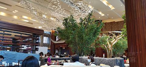 IMG_20200912_080239.jpg