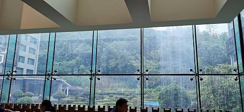 IMG_20200912_080246.jpg