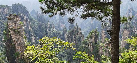IMG_20200911_145833.jpg