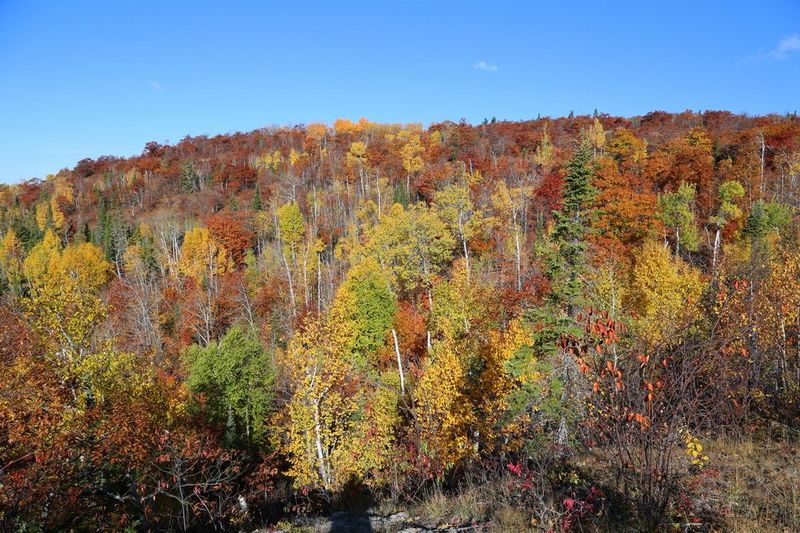 Minnesota--Tettegouche State Park--Bear lake and Bean Lake Trail (10).JPG