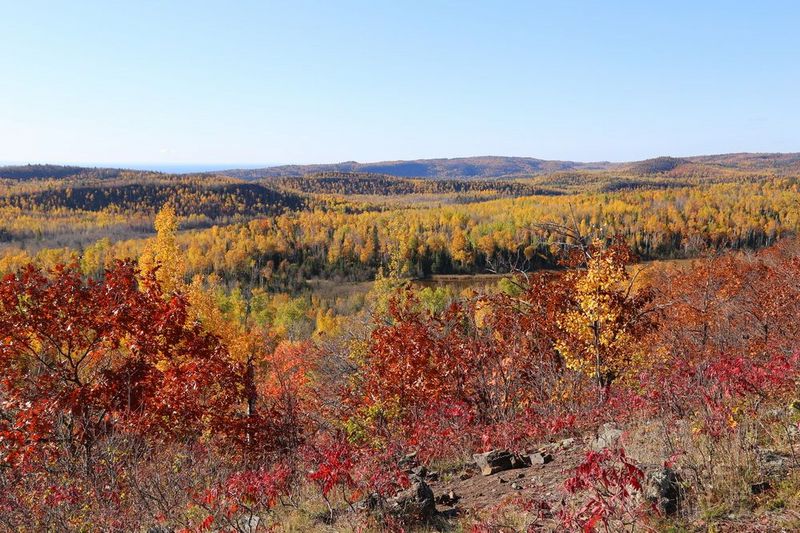 Minnesota--Tettegouche State Park--Bear lake and Bean Lake Trail (13).JPG