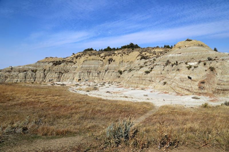 North Dakota--Theodore Roosevelt National Park (95).JPG