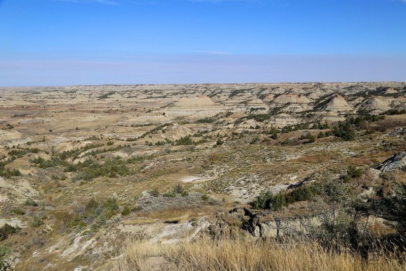 North Dakota--Theodore Roosevelt National Park (123).JPG