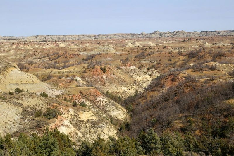 North Dakota--Theodore Roosevelt National Park (99).JPG