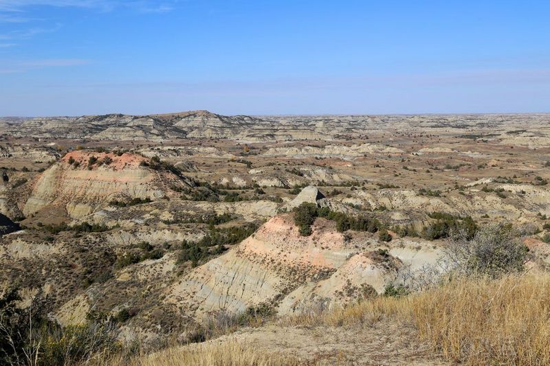 North Dakota--Theodore Roosevelt National Park (126).JPG