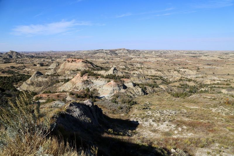 North Dakota--Theodore Roosevelt National Park (119).JPG