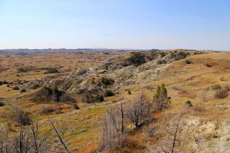 North Dakota--Theodore Roosevelt National Park (81).JPG