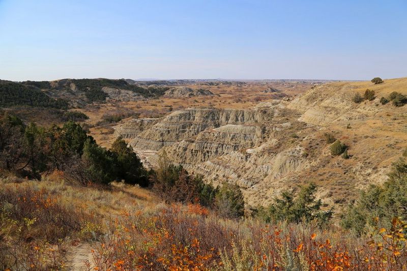 North Dakota--Theodore Roosevelt National Park (78).JPG