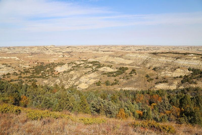 North Dakota--Theodore Roosevelt National Park (83).JPG