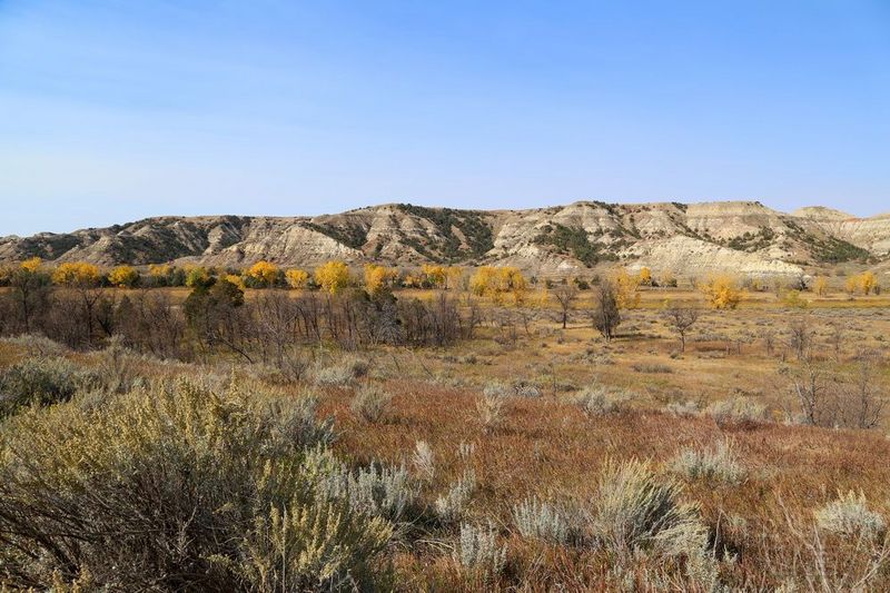 North Dakota--Theodore Roosevelt National Park (60).JPG