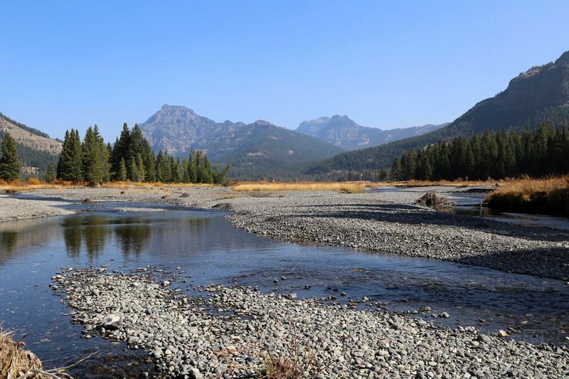 Wyoming--Yellowstone National Park--Roadside (4).JPG