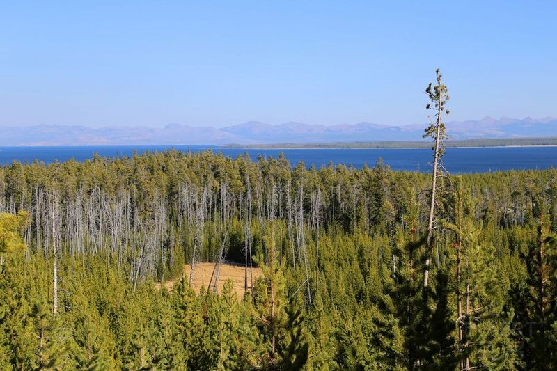 Wyoming--Yellowstone National Park--Yellowstone Lake (13).JPG