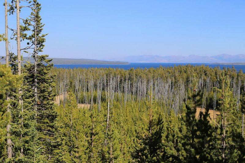 Wyoming--Yellowstone National Park--Yellowstone Lake (14).JPG