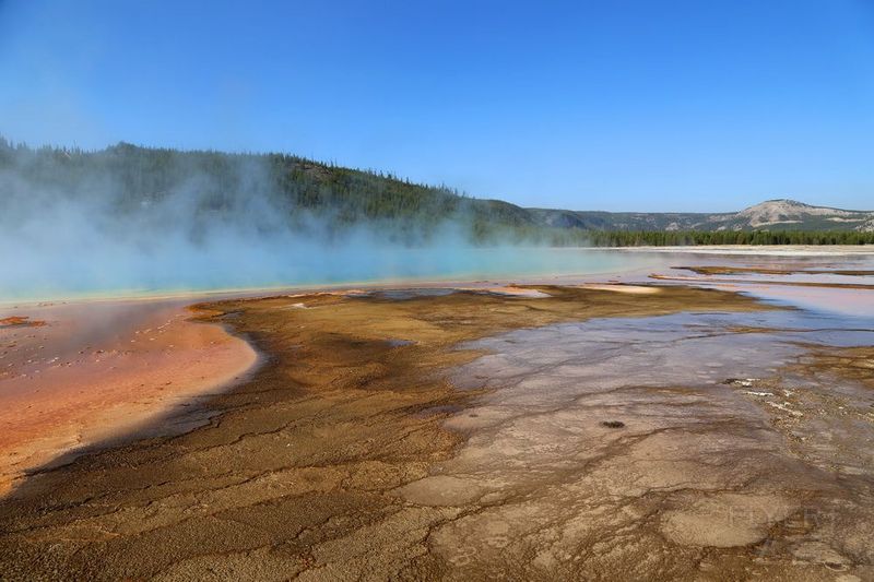 Wyoming--Yellowstone National Park--Midway Geyser Basin (13).JPG