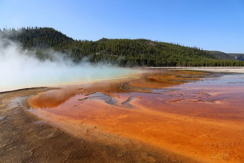 Wyoming--Yellowstone National Park--Midway Geyser Basin (16).JPG