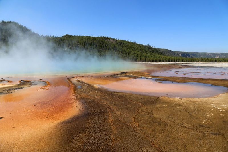 Wyoming--Yellowstone National Park--Midway Geyser Basin (15).JPG