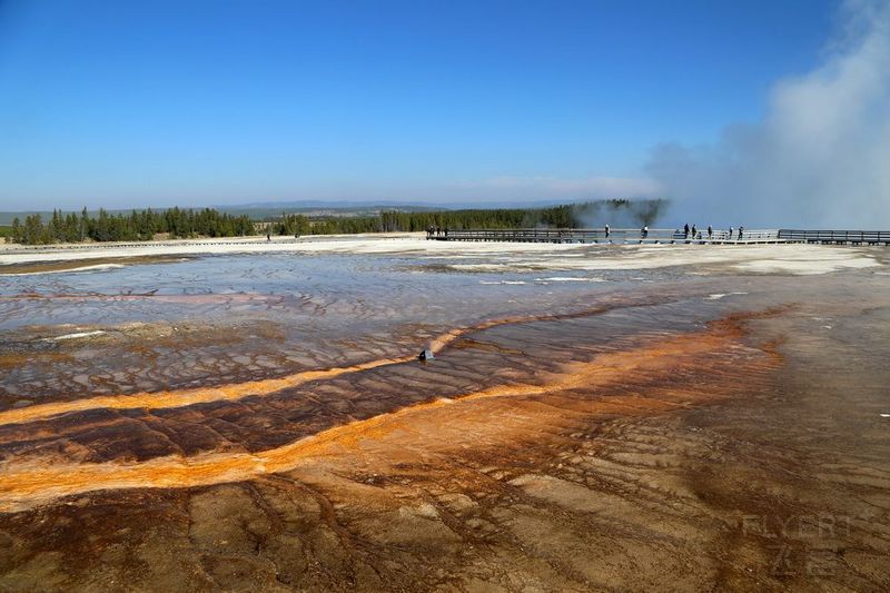 Wyoming--Yellowstone National Park--Midway Geyser Basin (9).JPG