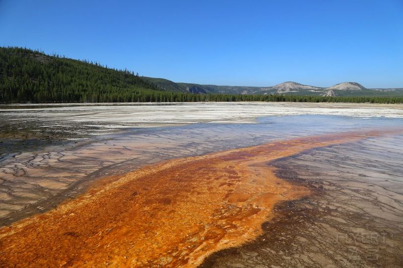 Wyoming--Yellowstone National Park--Midway Geyser Basin (20).JPG