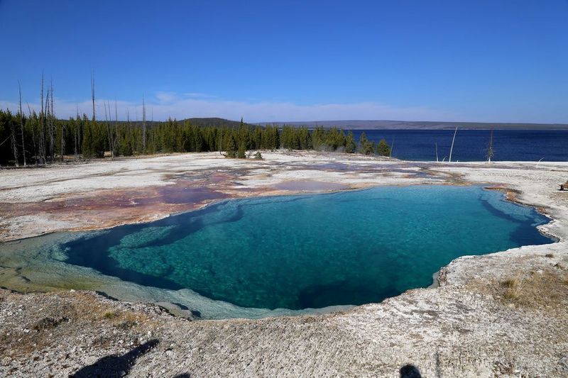 Wyoming--Yellowstone National Park--West Thumb (15).JPG