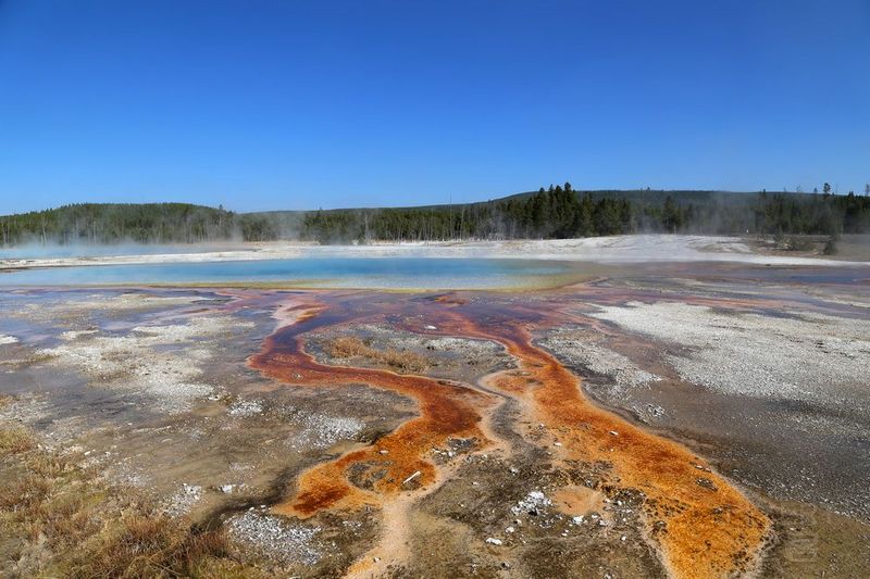 Wyoming--Yellowstone National Park--Black Sand Basin (13).JPG