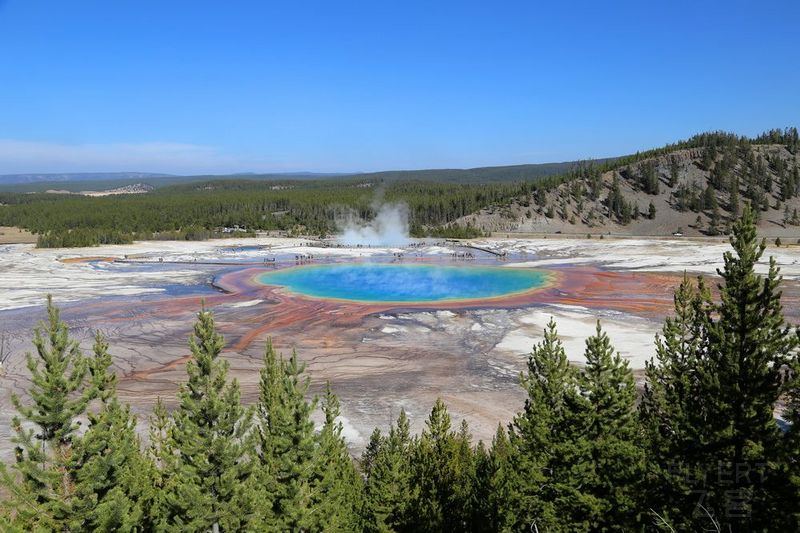 Wyoming--Yellowstone National Park--Grand Prismatic Spring (21).JPG