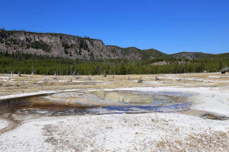 Wyoming--Yellowstone National Park--Biscuit Basin (69).JPG