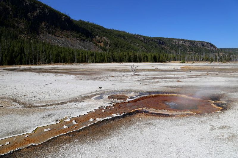 Wyoming--Yellowstone National Park--Black Sand Basin (6).JPG