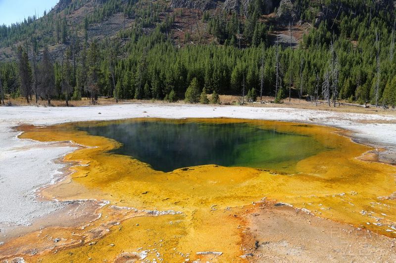 Wyoming--Yellowstone National Park--Black Sand Basin (14).JPG