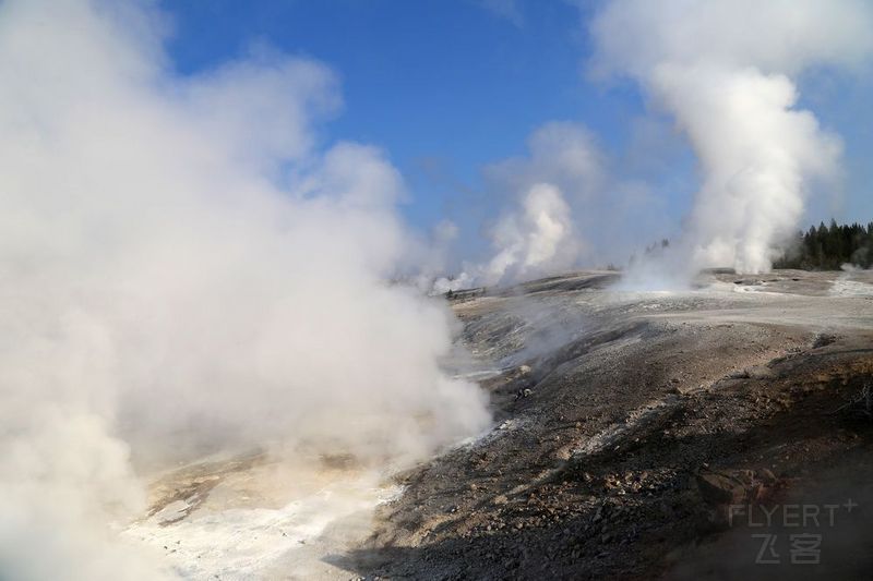 Wyoming--Yellowstone National Park--Norris Geyser Basin (15).JPG