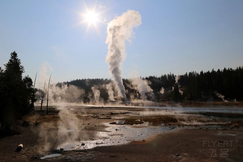 Wyoming--Yellowstone National Park--Norris Geyser Basin (29).JPG