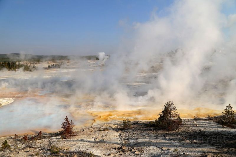 Wyoming--Yellowstone National Park--Norris Geyser Basin (36).JPG