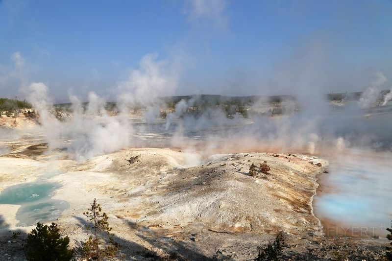 Wyoming--Yellowstone National Park--Norris Geyser Basin (17).JPG