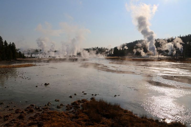 Wyoming--Yellowstone National Park--Norris Geyser Basin (32).JPG