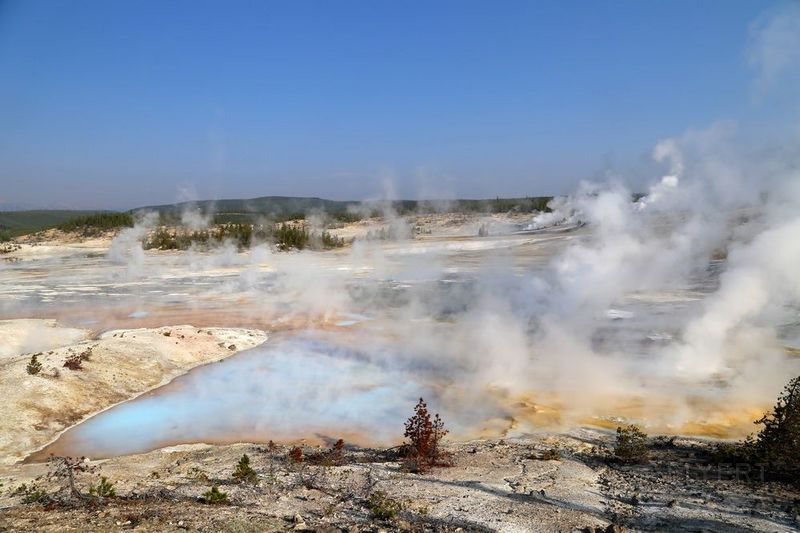 Wyoming--Yellowstone National Park--Norris Geyser Basin (40).JPG