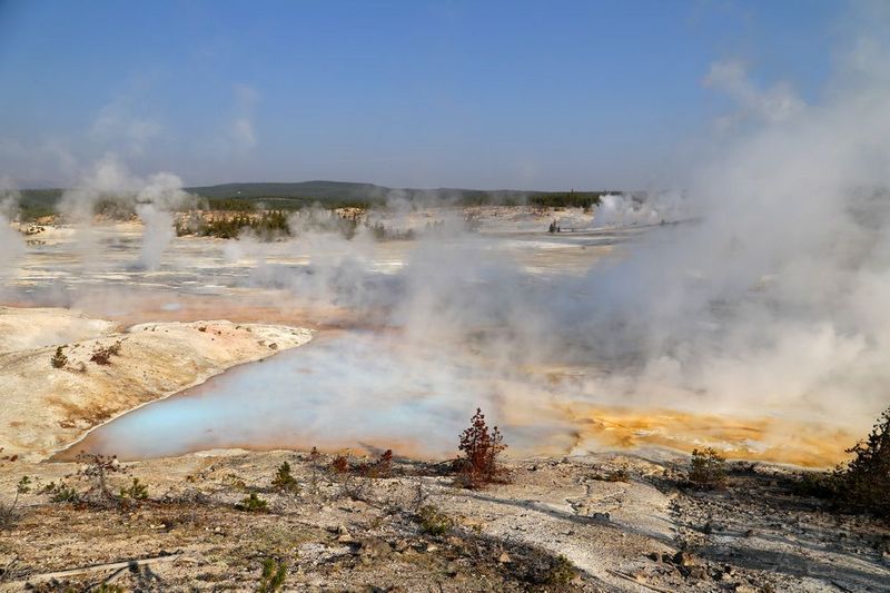 Wyoming--Yellowstone National Park--Norris Geyser Basin (35).JPG