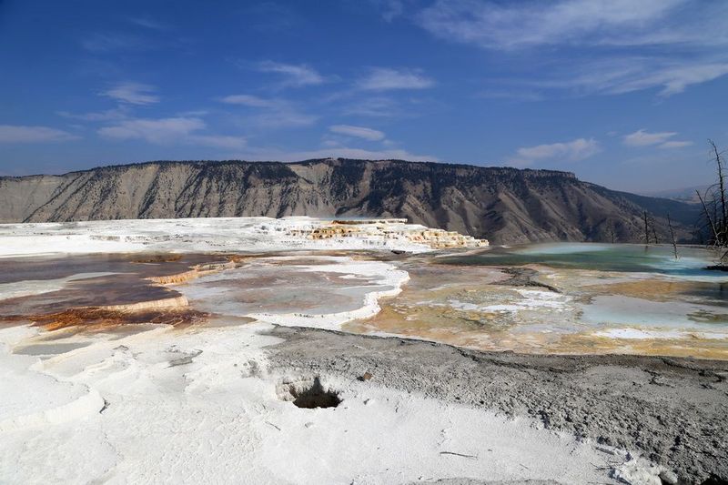 Wyoming--Yellowstone National Park--Mammoth Hot Spring (11).JPG