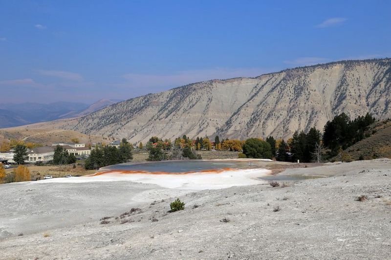 Wyoming--Yellowstone National Park--Mammoth Hot Spring (24).JPG